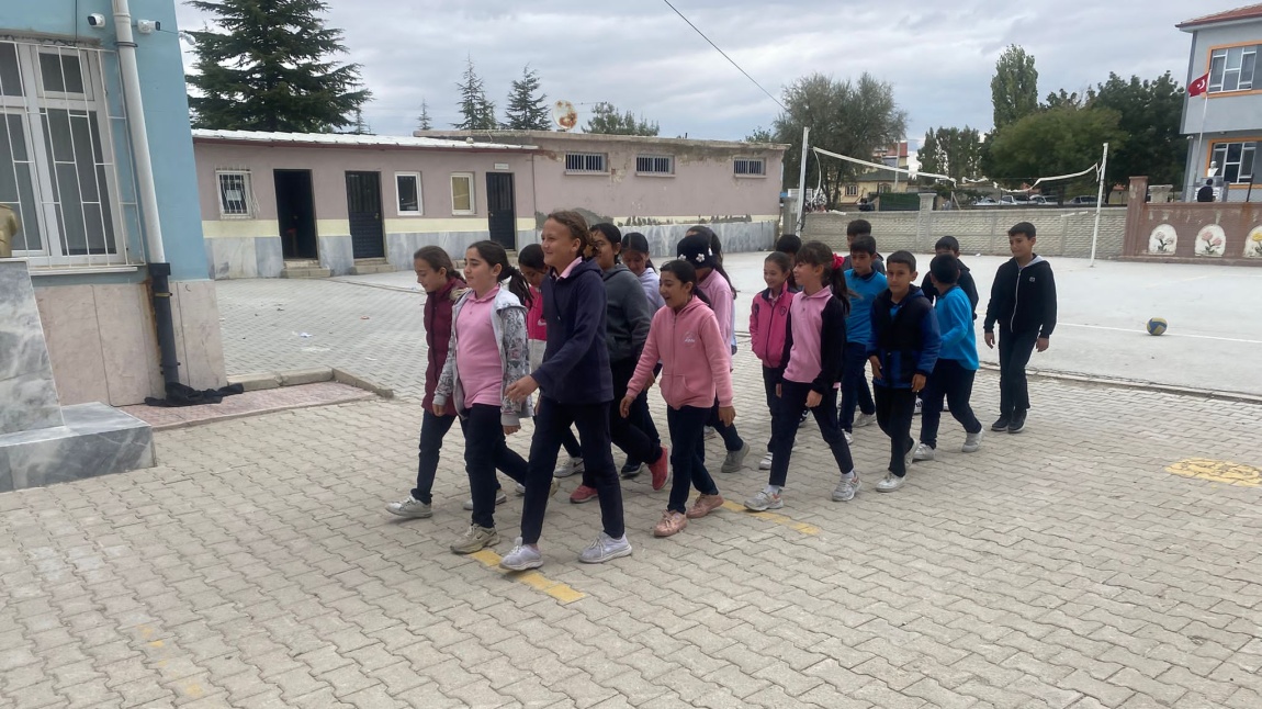 Dünya Yürüyüş Günü