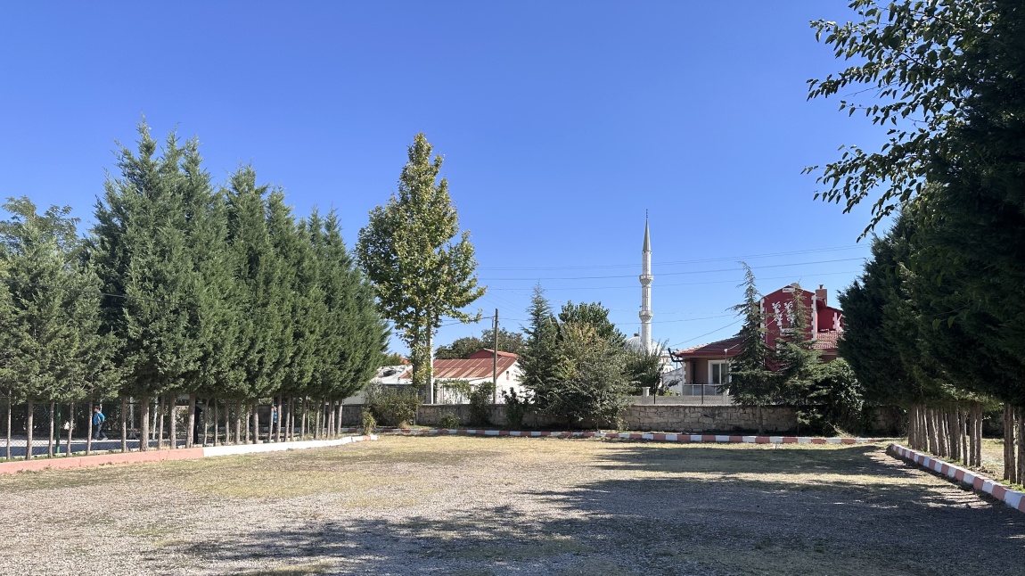 Okulumuzun bahçe taşları boyandı.